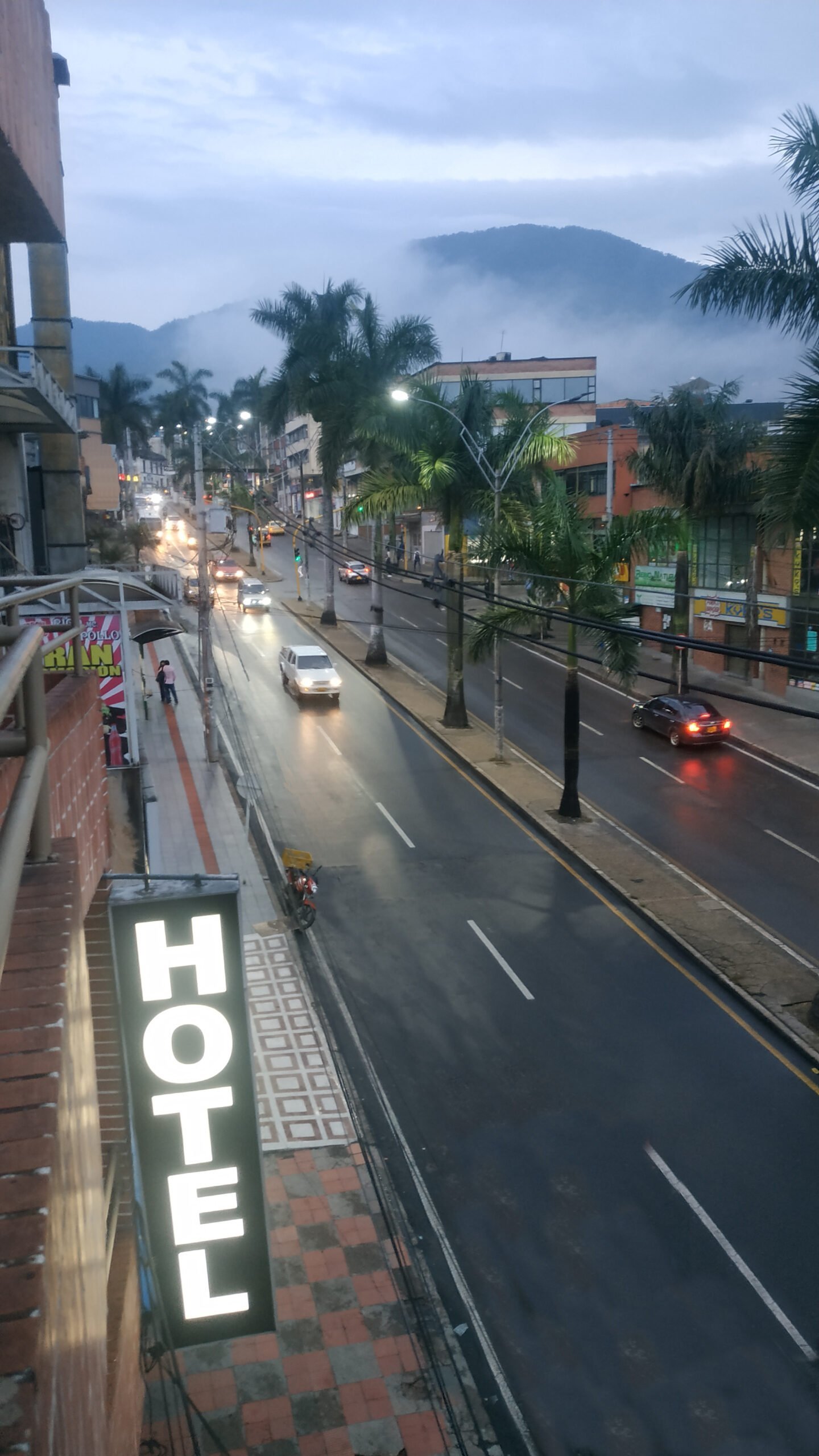 Montana · vista hacia la avenida